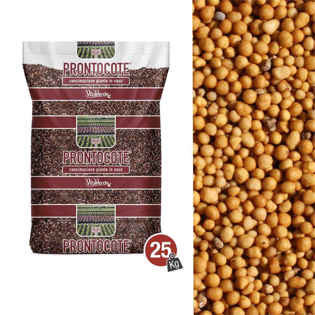 N. 12 PRONTOCOTE 12T TERRICCIO (18-10-14+3) - 12 MESI - KG 25